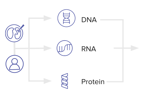 MultiOmicAnalysisImage